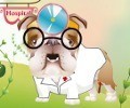 Dr Bulldog  Pets Hospital